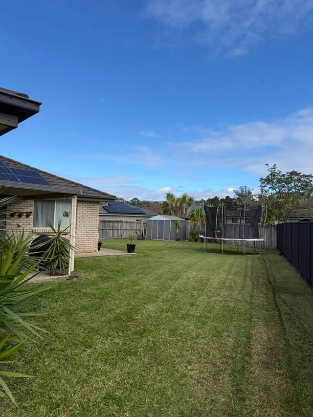 A large, freshly mown backyard lawn with clean edges